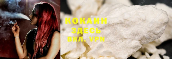 гашик Белоозёрский