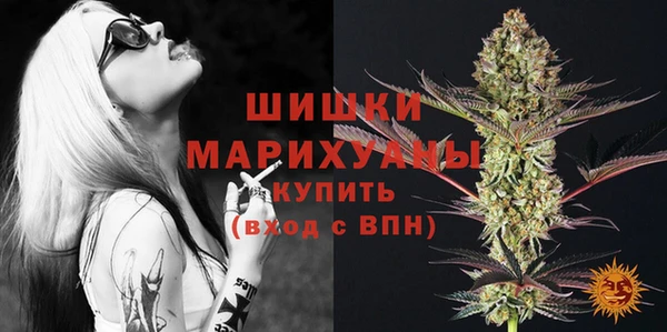 гашик Белоозёрский